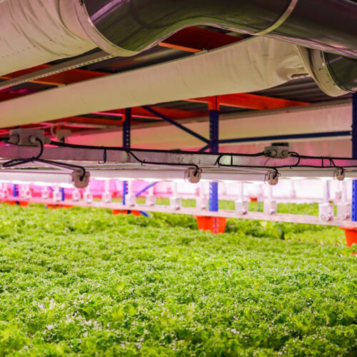 Urban Farming Partners